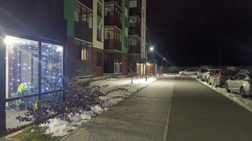 Гирлянды